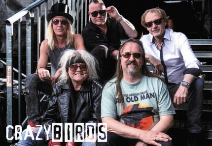 CrazyBirds