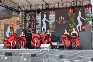 Stadtfest Zwickau