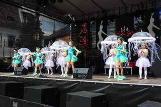 Stadtfest Zwickau