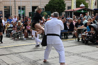 Stadtfest Zwickau